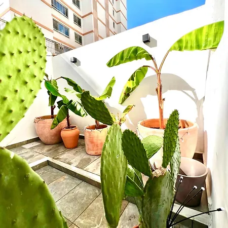 Casita Naif En A 30 Metros De La Playa Homestay