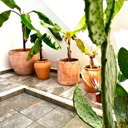 Casita Naif En A 30 Metros De La Playa *